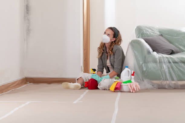 Reliable Commercial Mold Remediation contractor in Lyons, GA by 24 Hour Mold Removal